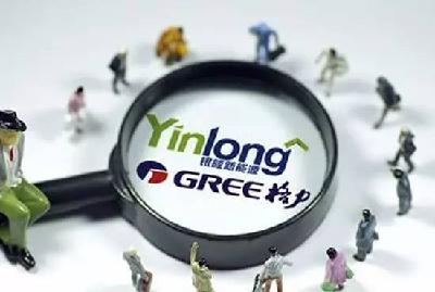 董明珠连任大金董事长几无悬念 银隆怎么办?