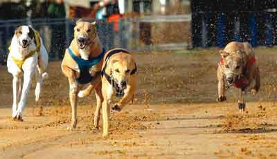 一天花30.64亿元连拿两地 大金强势登陆上海滩